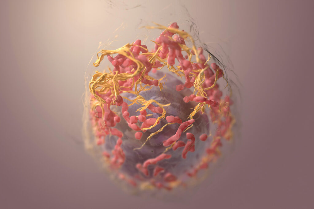 Gggnational Cancer Institute P1zy6izfi0m Unsplash